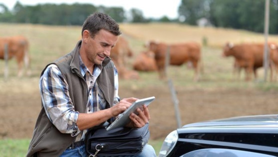 Farmer using payroll system