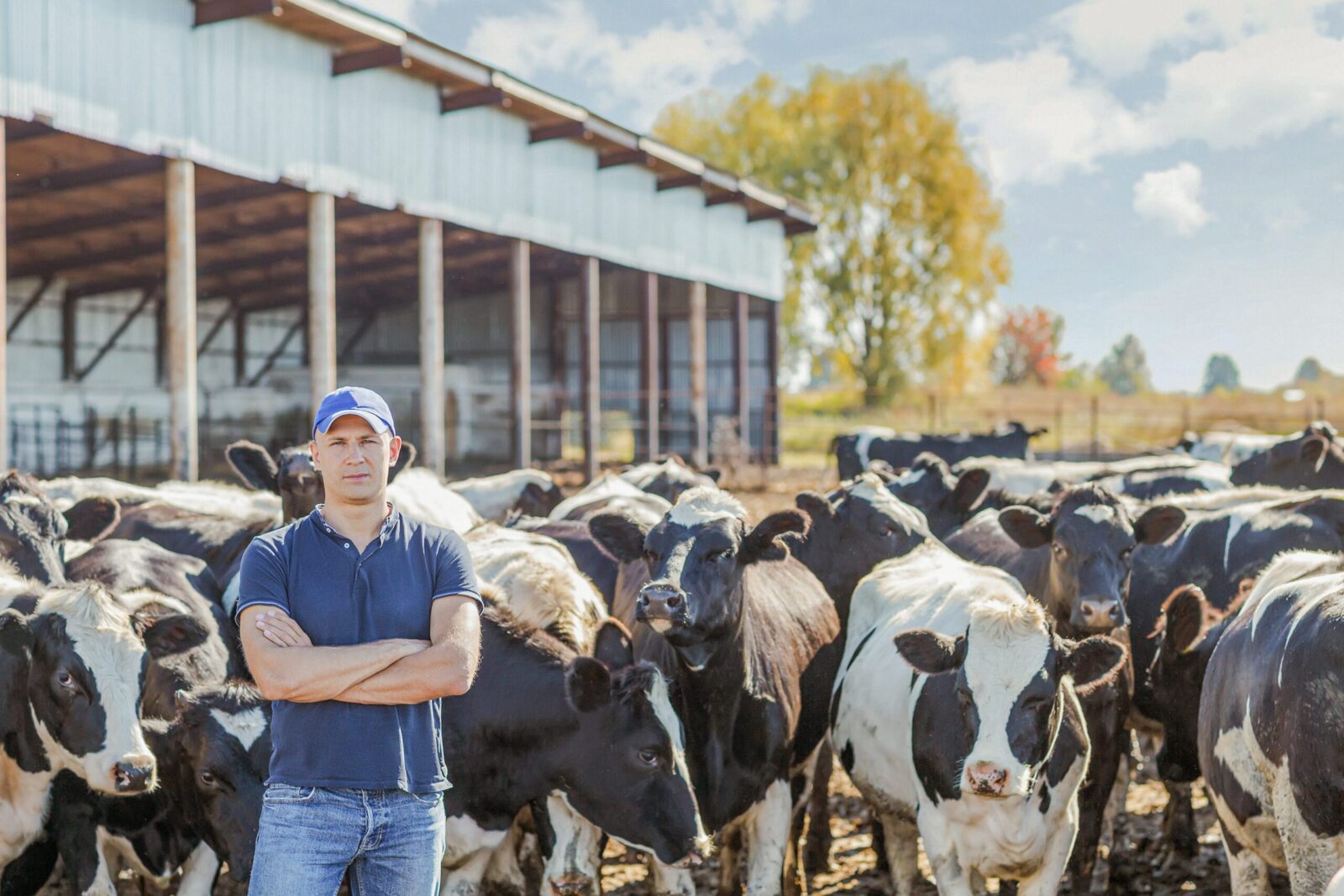 Dairy farmer on New Zealand farm managing staff payroll and operations