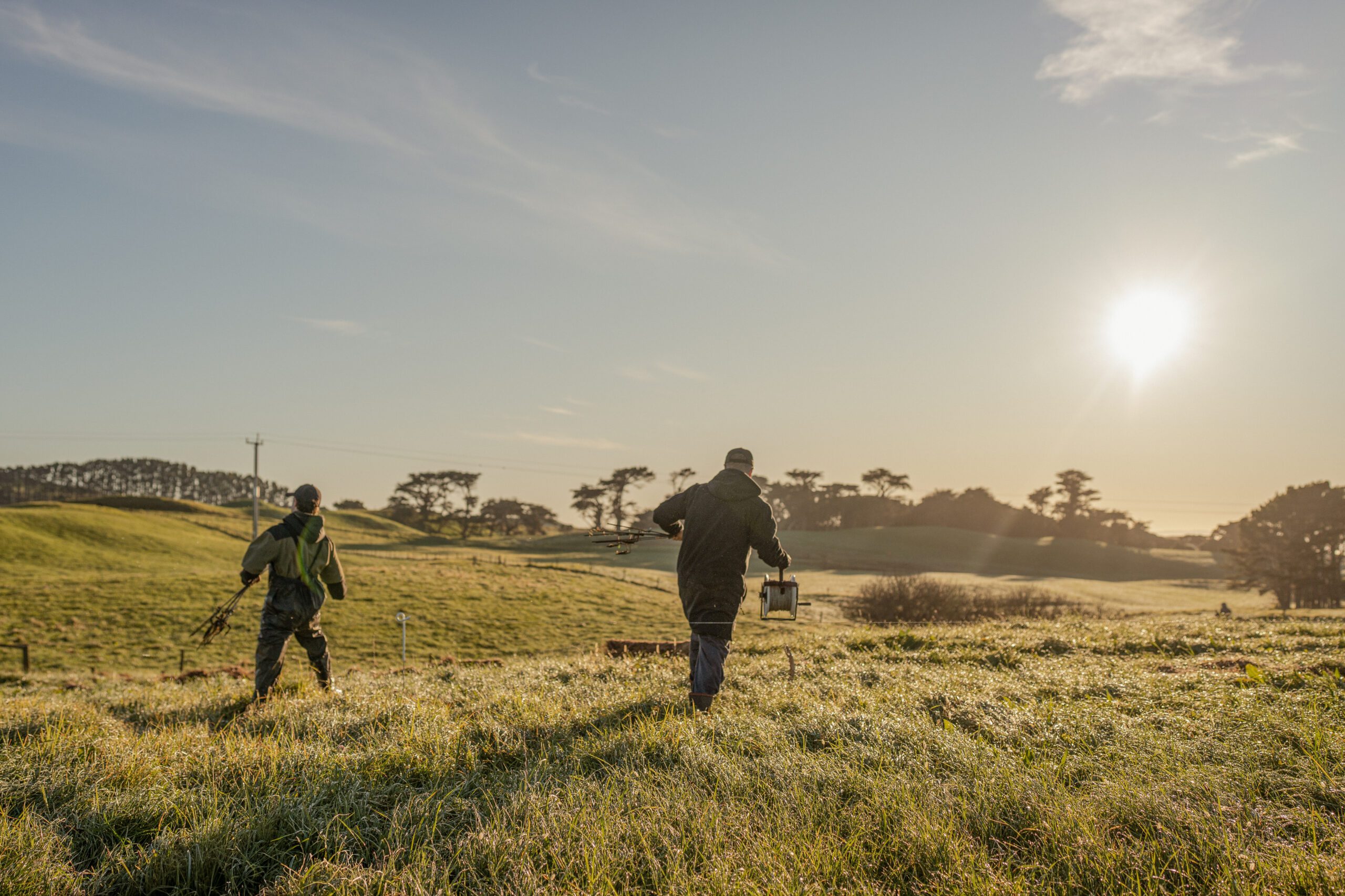 Two farmers walking side by side to set up temporary fencing in a grass paddock