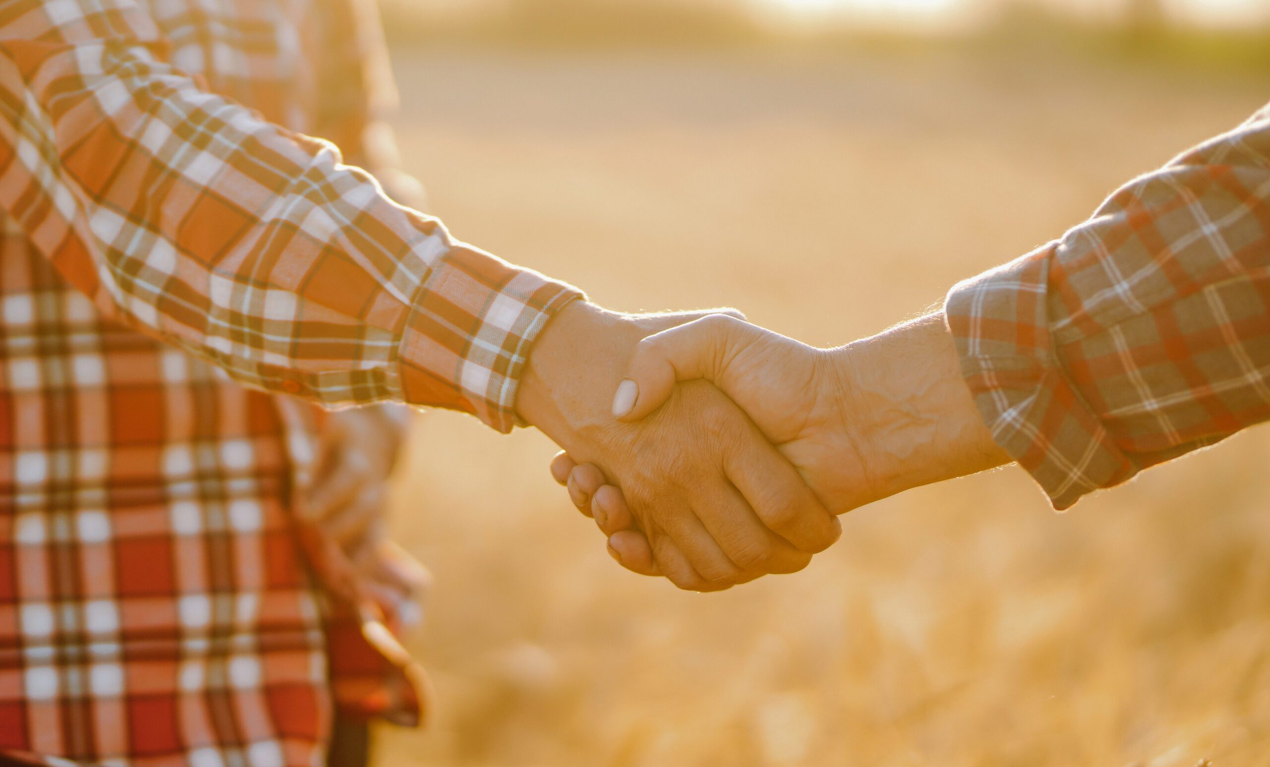 Handshake of two farmers