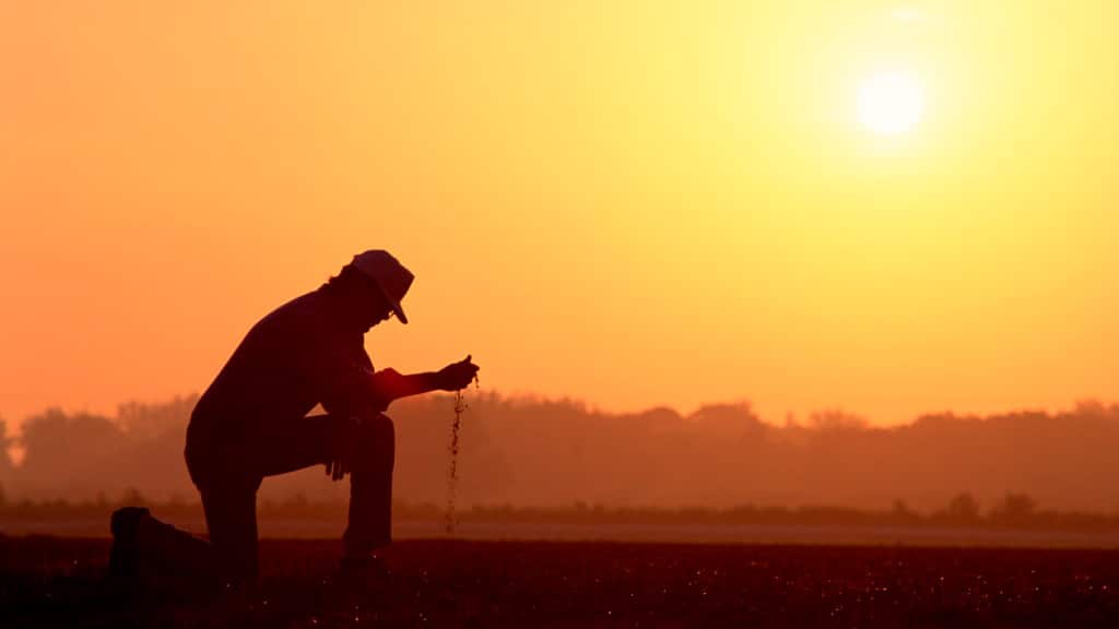 Farmer looking at the soil