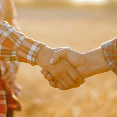 Handshake between New Zealand farm manager and RSE worker symbolising streamlined onboarding and seasonal employment